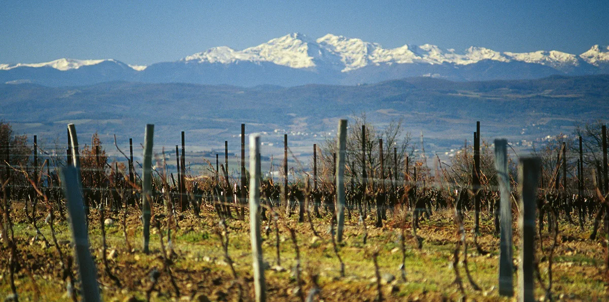 Notre terroir