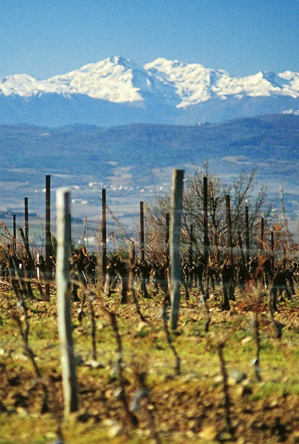 Notre terroir